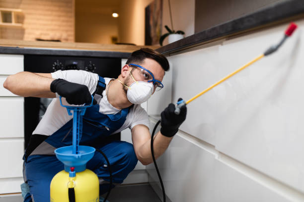 Best Exterminator Services  in Forest Park, OH