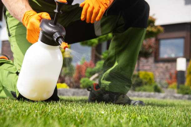 Best Ant Control Services  in Forest Park, OH