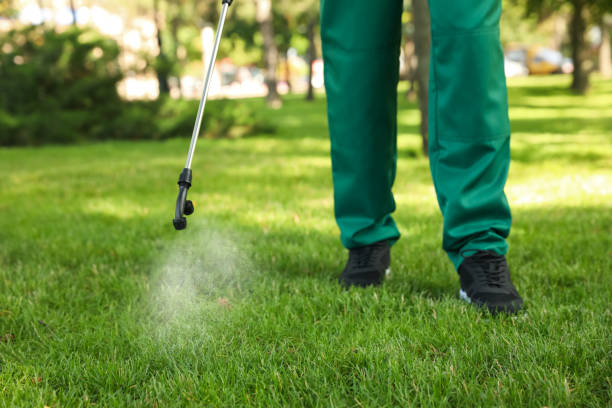 Best Pest Removal Services  in Forest Park, OH
