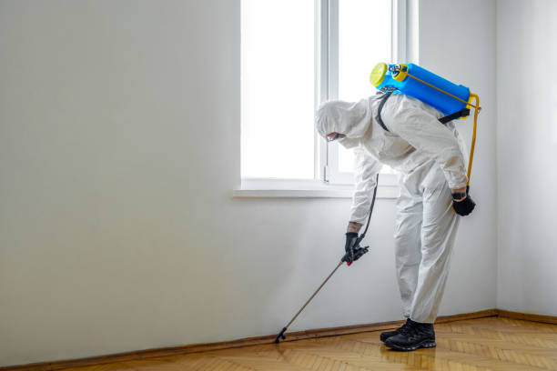 Best Residential Pest Control  in Forest Park, OH