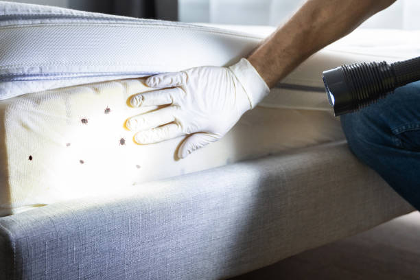 Best Pest Control Near Me in Forest Park, OH