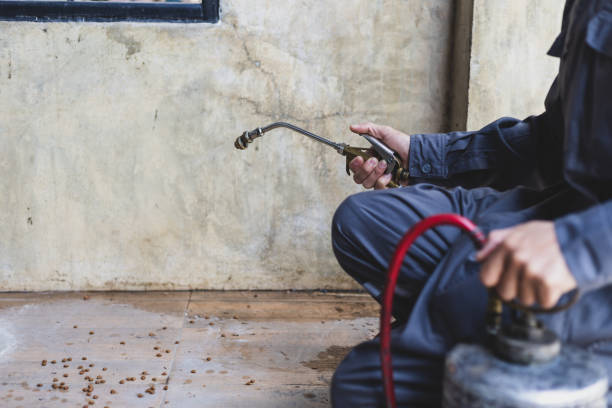 Professional Pest Control in Forest Park, OH
